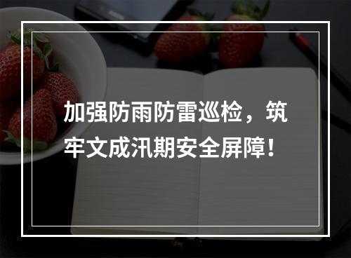 加强防雨防雷巡检，筑牢文成汛期安全屏障！