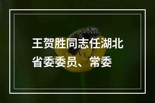 王贺胜同志任湖北省委委员、常委