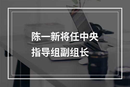 陈一新将任中央指导组副组长
