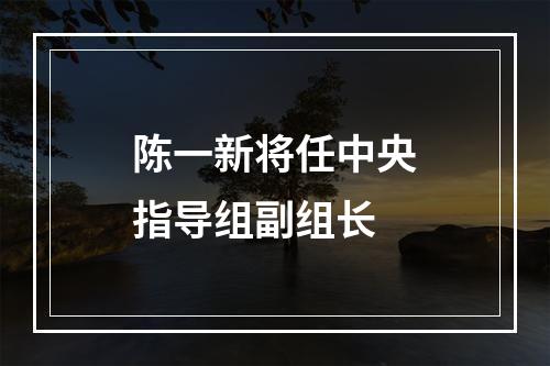 陈一新将任中央指导组副组长