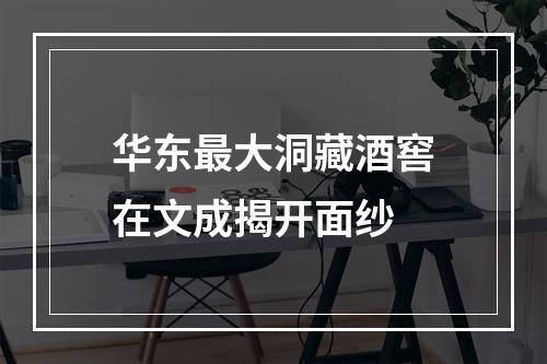 华东最大洞藏酒窖在文成揭开面纱