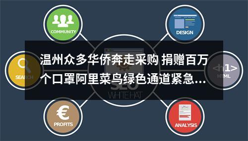 温州众多华侨奔走采购 捐赠百万个口罩阿里菜鸟绿色通道紧急运送回国