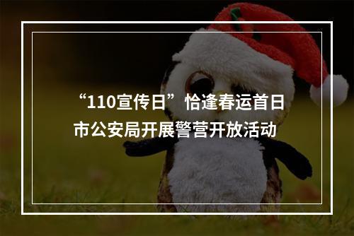 “110宣传日”恰逢春运首日 市公安局开展警营开放活动