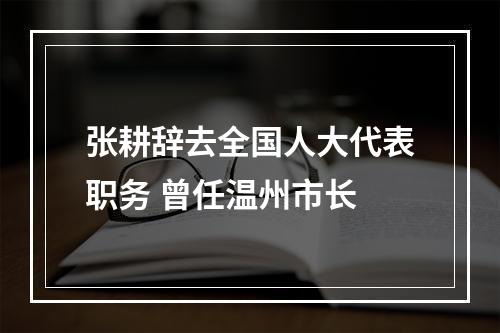 张耕辞去全国人大代表职务 曾任温州市长
