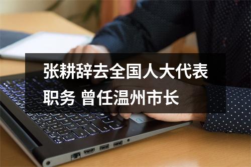 张耕辞去全国人大代表职务 曾任温州市长