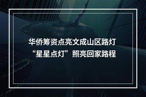 华侨筹资点亮文成山区路灯 “星星点灯”照亮回家路程
