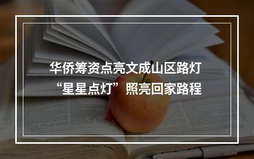 华侨筹资点亮文成山区路灯 “星星点灯”照亮回家路程