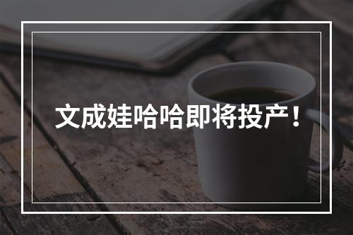 文成娃哈哈即将投产！