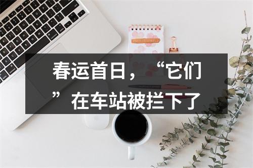 春运首日，“它们”在车站被拦下了