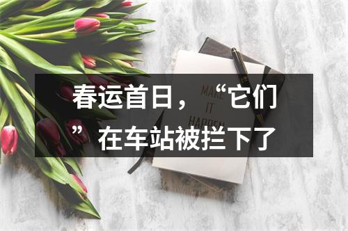 春运首日，“它们”在车站被拦下了