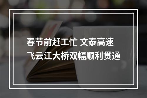 春节前赶工忙 文泰高速飞云江大桥双幅顺利贯通