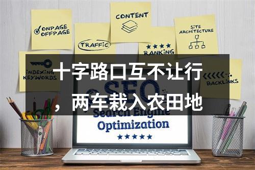 十字路口互不让行，两车栽入农田地