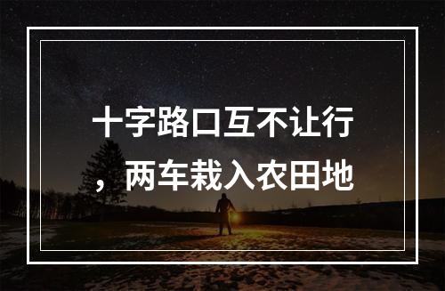 十字路口互不让行，两车栽入农田地