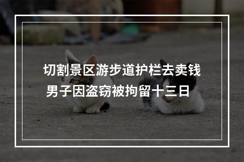 切割景区游步道护栏去卖钱 男子因盗窃被拘留十三日