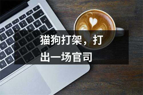 猫狗打架，打出一场官司