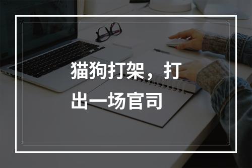 猫狗打架，打出一场官司