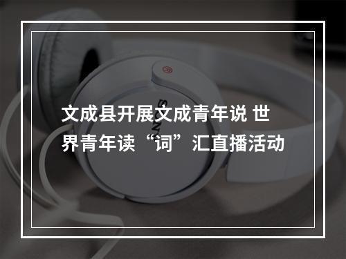 文成县开展文成青年说 世界青年读“词”汇直播活动