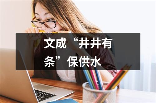 文成“井井有条”保供水