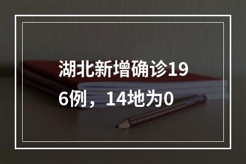 湖北新增确诊196例，14地为0