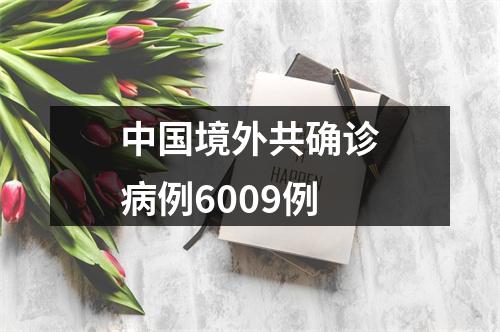 中国境外共确诊病例6009例