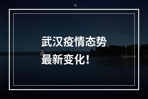 武汉疫情态势最新变化！