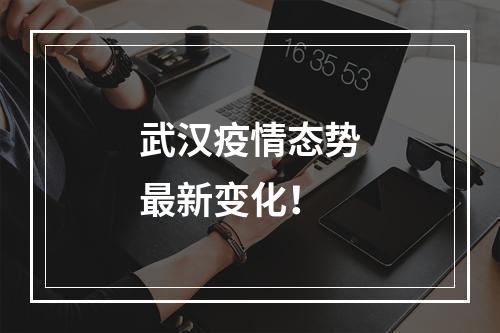 武汉疫情态势最新变化！