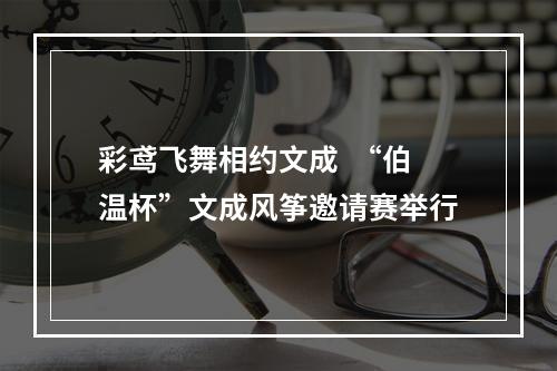 彩鸢飞舞相约文成  “伯温杯”文成风筝邀请赛举行
