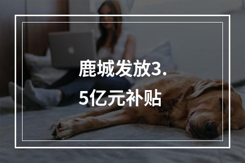 鹿城发放3.5亿元补贴