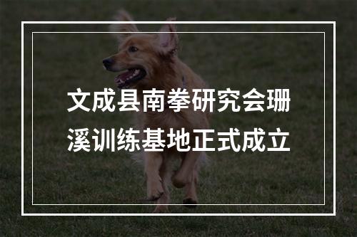 文成县南拳研究会珊溪训练基地正式成立