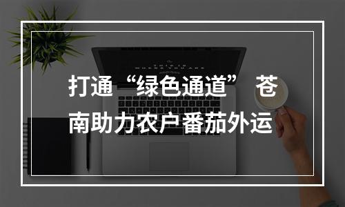 打通“绿色通道” 苍南助力农户番茄外运