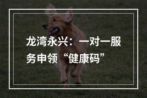 龙湾永兴：一对一服务申领“健康码”