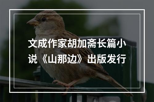 文成作家胡加斋长篇小说《山那边》出版发行