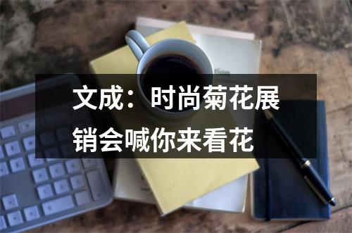 文成：时尚菊花展销会喊你来看花