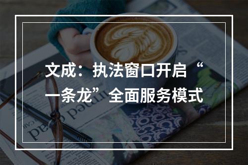 文成：执法窗口开启“一条龙”全面服务模式