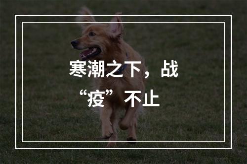寒潮之下，战“疫”不止