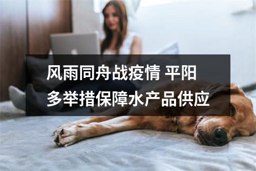 风雨同舟战疫情 平阳多举措保障水产品供应