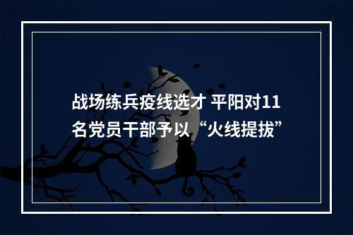 战场练兵疫线选才 平阳对11名党员干部予以“火线提拔”