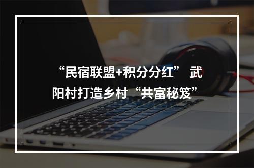 “民宿联盟+积分分红” 武阳村打造乡村“共富秘笈”