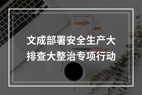 文成部署安全生产大排查大整治专项行动