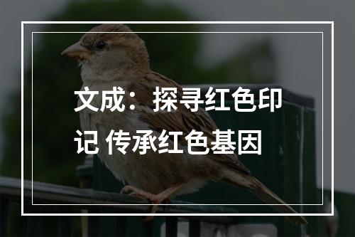 文成：探寻红色印记 传承红色基因