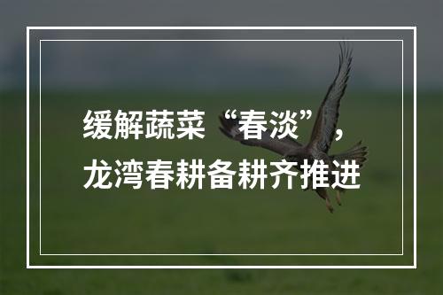 缓解蔬菜“春淡”，龙湾春耕备耕齐推进