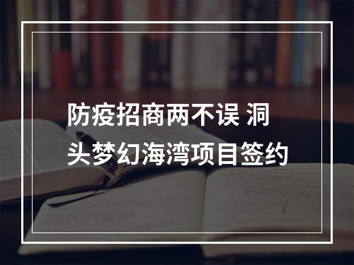 防疫招商两不误 洞头梦幻海湾项目签约