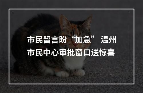 市民留言盼“加急” 温州市民中心审批窗口送惊喜