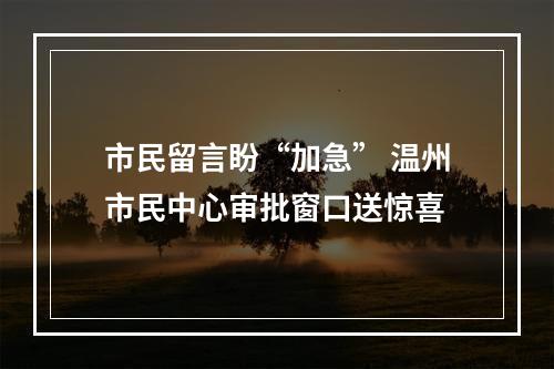市民留言盼“加急” 温州市民中心审批窗口送惊喜