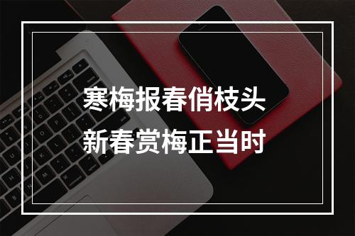 寒梅报春俏枝头 新春赏梅正当时