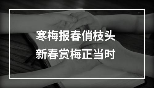 寒梅报春俏枝头 新春赏梅正当时