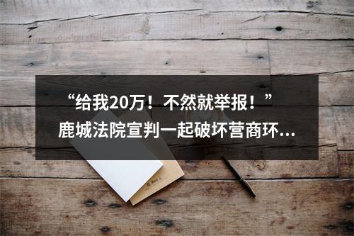“给我20万！不然就举报！” 鹿城法院宣判一起破坏营商环境案 三被告人获刑
