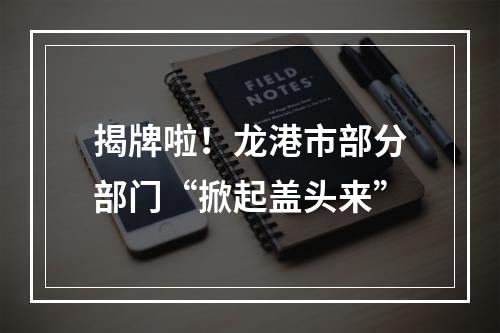 揭牌啦！龙港市部分部门“掀起盖头来”