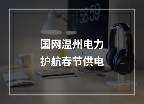 国网温州电力护航春节供电