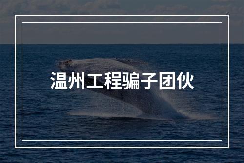 温州工程骗子团伙
